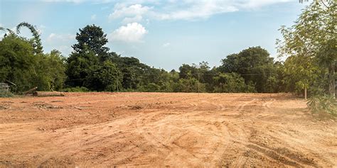 Undeveloped Land 的图像结果