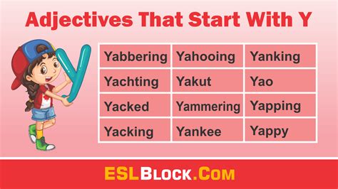 Adjectives That Start With Y – English as a Second Language