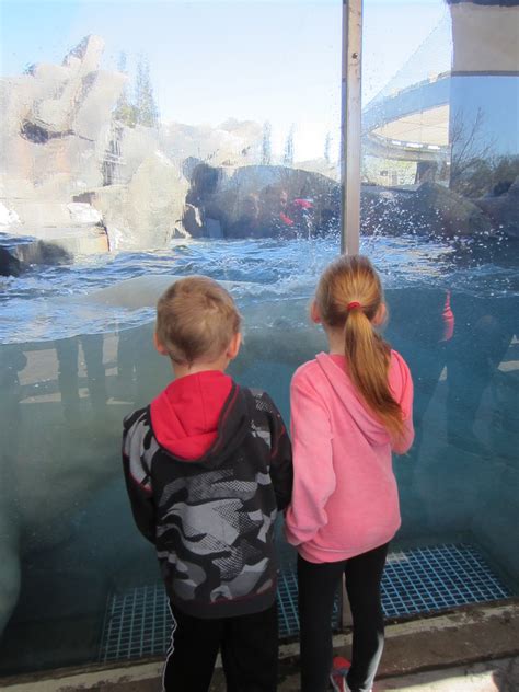 Image result for Spring Break 2016 Competition