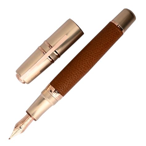 Buy Visconti Homo Sapiens Dual Touch Cognac Fountain Pen | Visconti ...