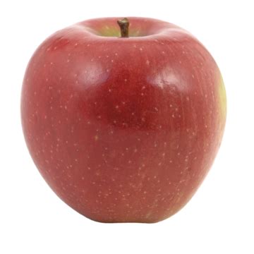 Image result for Apple Basic Programming Example