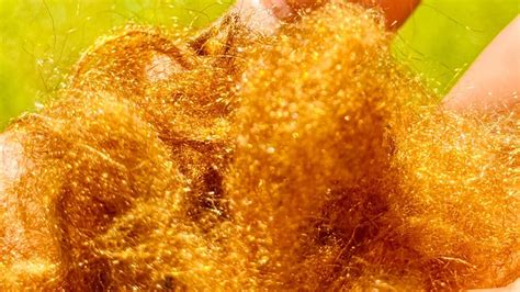 From Marine Waste to Imperial Luxury: The Stunning Comeback of ...