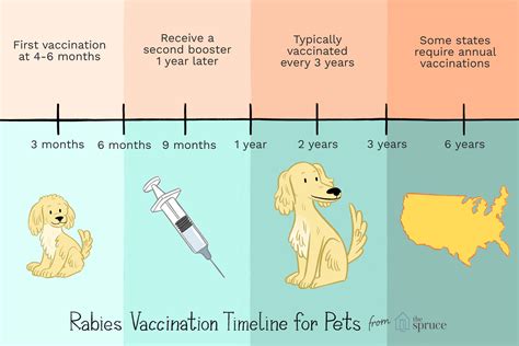 When Do Dogs Show Signs Of Rabies at Megan Lewis blog