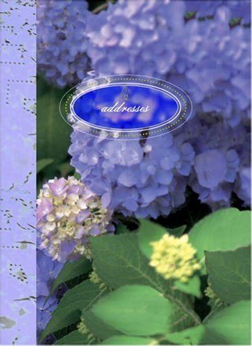 Buy Paradise Found Mini Address Book Book Online at Low Prices in India ...