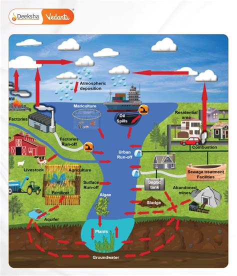 Understanding Water Pollution: Causes, Effects, and Solutions