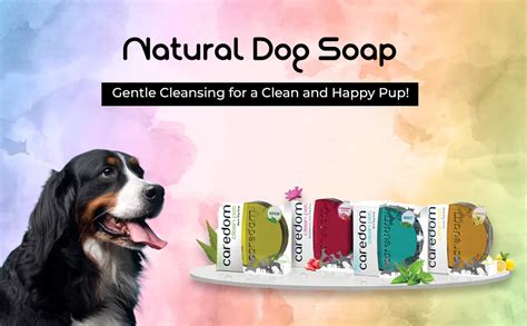Buy CAREDOM Clean Pet Natural Neem Dog Soap | Pet Soap for Dog Enriched ...