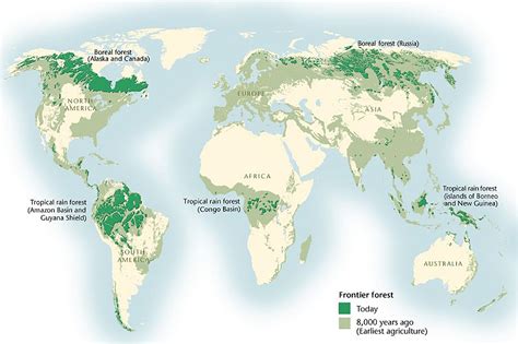 Mapping The Geographic Distribution Of Boreal Forests Worldwide