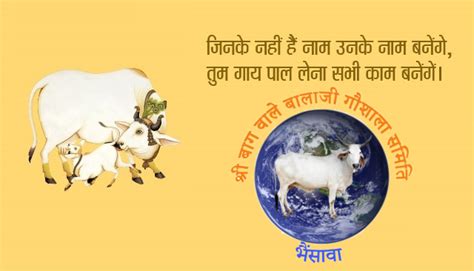 Gaushala Donation: Online Cow Donation in Bhainsawa | Shree Baghwale ...