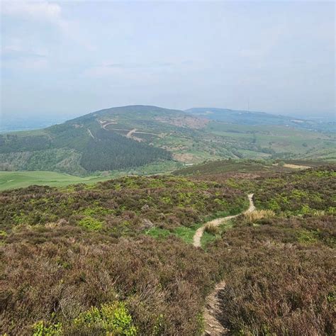 Excalibur Trail Races 2025, Moel Famau, Mold, 11 May 2025 | AllEvents