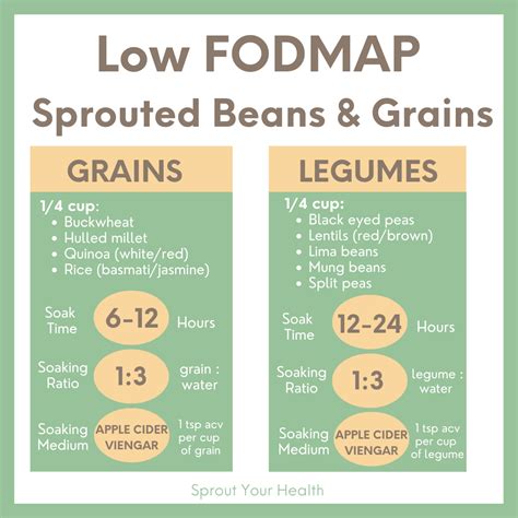 SIBO Diet Low FODMAP Grains & Beans — Sprout Your Health