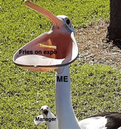 Image result for Computer Server Memes