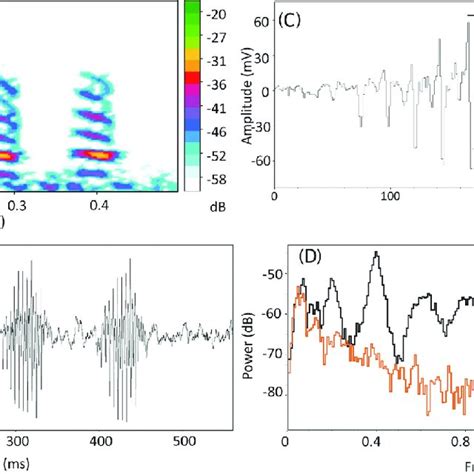 Color Spectrogram 的图像结果