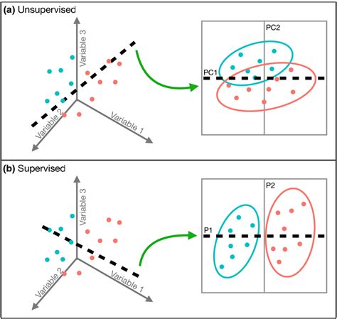 Image result for Unsupervised Learning Dimension Reduction
