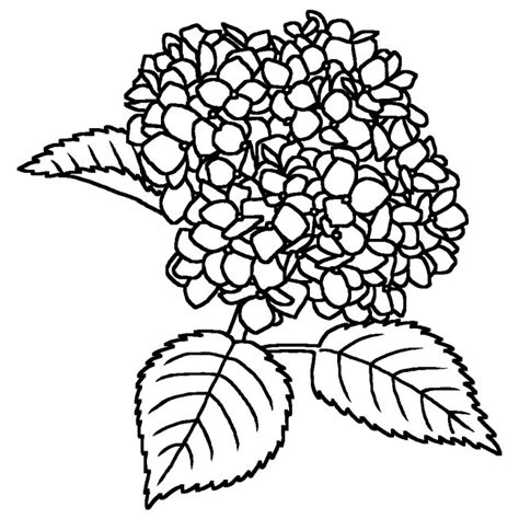 Image result for Matghematical Model of Algorithm