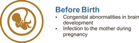 Cerebral Palsy - Cell Therapy
