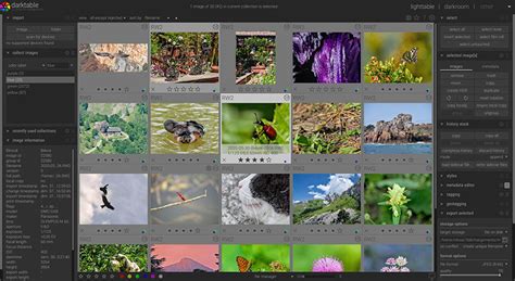 Image result for Photo Programs Free