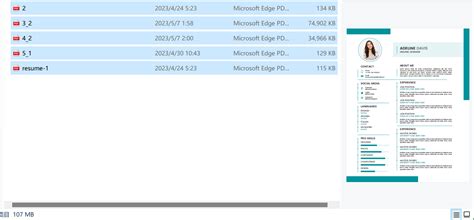 Open PDF 2 File 的图像结果