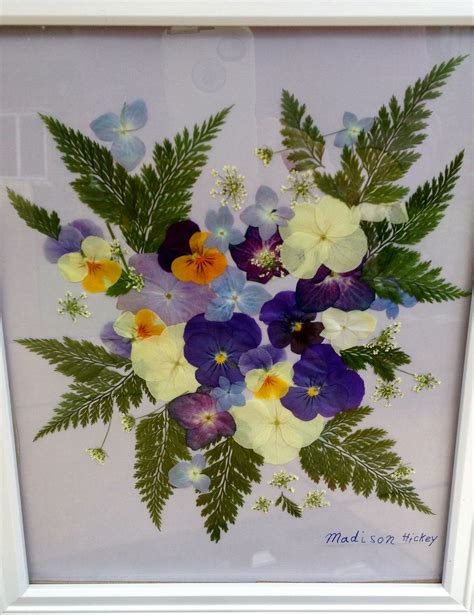 Pressed dried flower picture Madi made from the garden. | Pressed ...