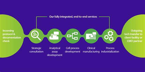 Gene Therapy Process Steps 的图像结果