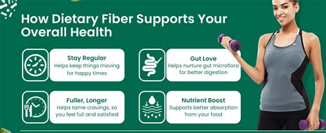 Healthyr-U Dietary Fiber | Plant Based Prebiotic Fibers | Helps in ...