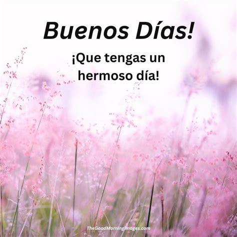 50+ Good Morning Spanish Images & Wishes - Good Morning Pictures
