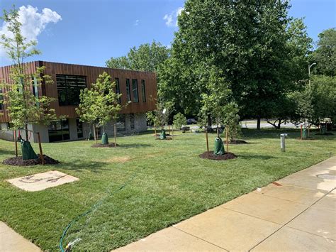 New Lubber Run Community Center & Park – Official Website of Arlington ...