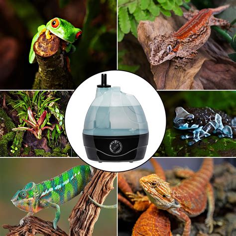 Reptile Humidifier / Fogger - Large Tank - Ideal for a Variety of ...