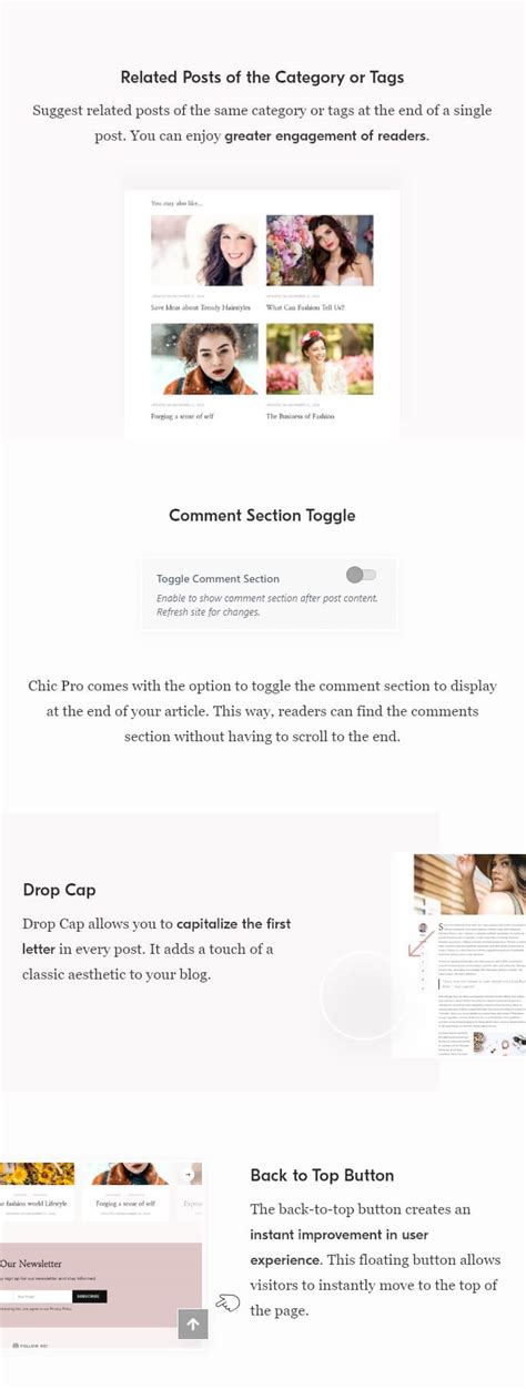 Chic Lite WordPress Theme 的图像结果