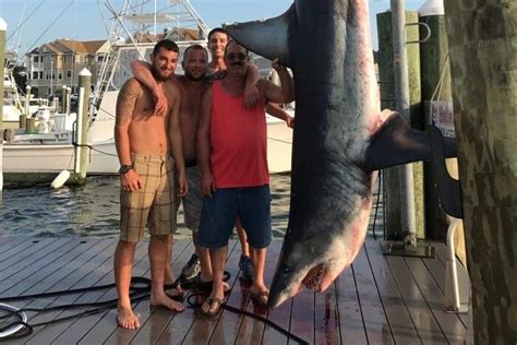 Mako shark caught off Jersey Shore was a monster but can't claim a record