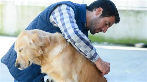 How to Waterproof MDF 的图像结果