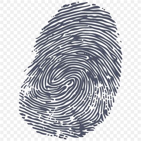 Free Fingerprint Clipart, Download Free Fingerprint Clipart png images ...