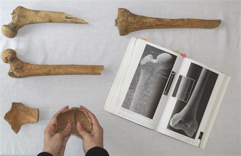 Archaeology 的图像结果