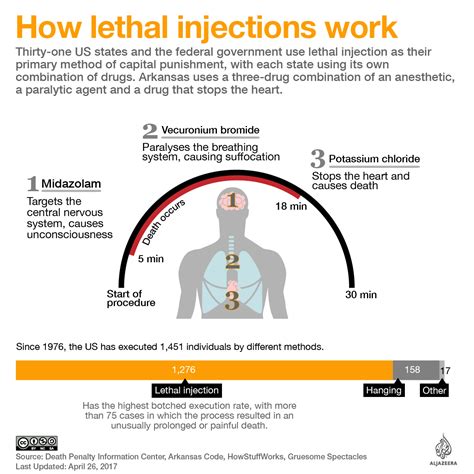 How do lethal injections work | Infographic News | Al Jazeera