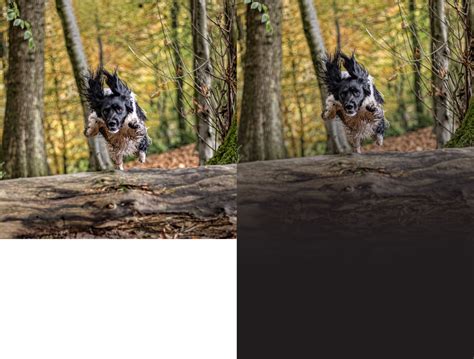 Image result for Rainbow Gradient Affinity