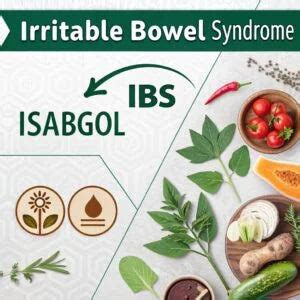 Irritable Bowel Syndrome and Isabgol – Izag Nutri