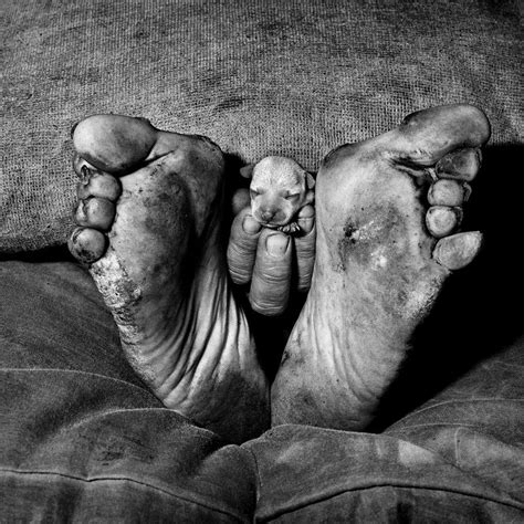 Photoink | Roger Ballen