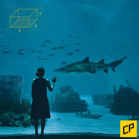 Volume Optimization Calculus 的图像结果