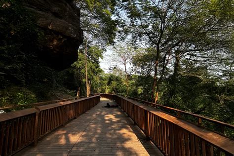 Mumbai’s Elevated Forest Walkway: Malabar Hill’s New Eco-Friendly ...