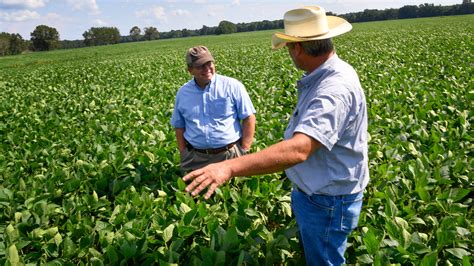 Tennessee soybean farmers say Trump’s China deal a 'good start'