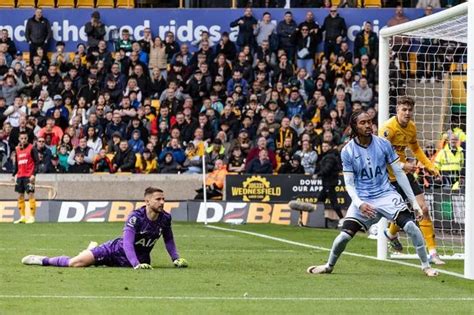 Image result for Wolves Vs Tottenham Analysis