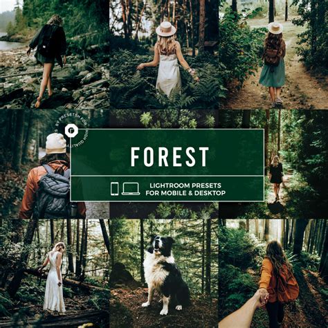 Forest Lightroom Presets Mobile & Desktop Collection - FilterGrade