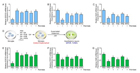 Phlorotannins from Ecklonia cava Attenuates Palmitate-Induced ...
