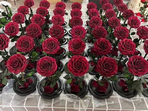 Wholesale Mothers Day Infinity Forever Roses Gift Dose Eternal Rose ...