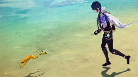 Genshin Impact Frogs locations and where to find frogs explained | Eurogamer.net
