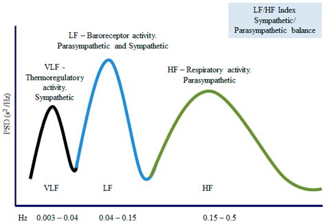 The Role of Heart Rate Variability (HRV) in Different Hypertensive Syndromes