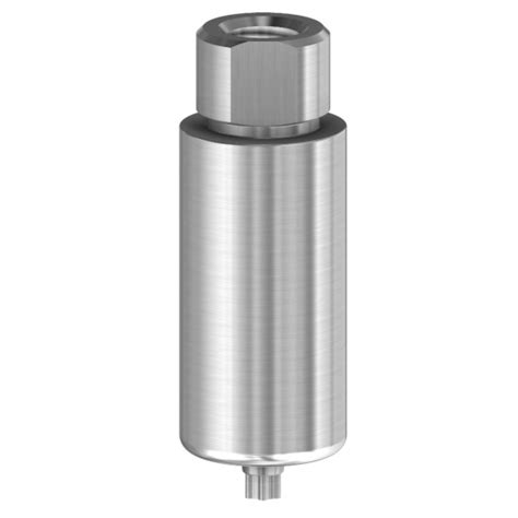 Pre-Milled Blank kompatibel mit Straumann® BLX