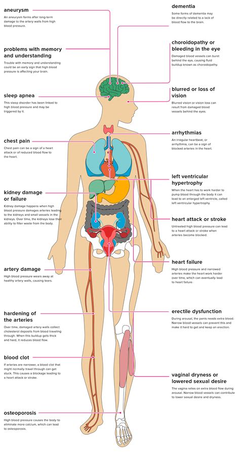 The Long Term Effects Of High Blood Pressure On Your Body