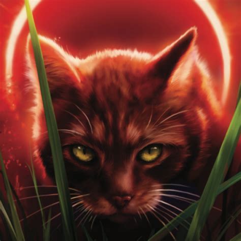Sol | Warrior Cats