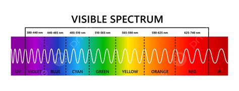 Visible Light Spectrum Wavelength Ray, Retina, Illustration, Purple PNG and Vector with ...