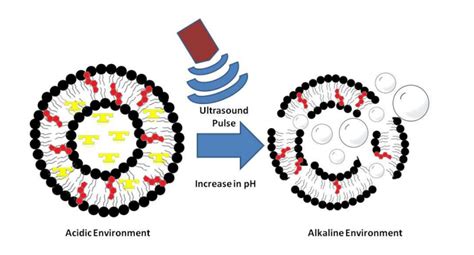 Prodrug Loaded Liposomes as In Situ Theranostic Agents | IITBombay